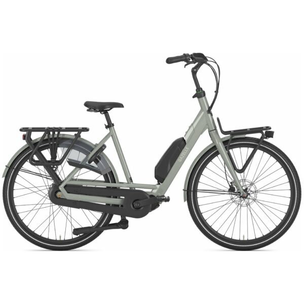Gazelle Bloom C310 Clay Green Glans