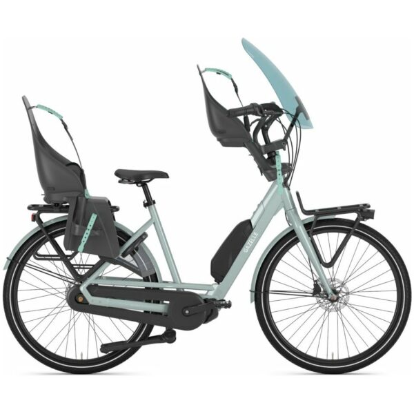 Gazelle Bloom C7 Light Olive Glans