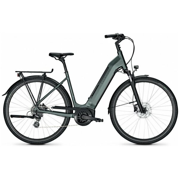 Kalkhoff ENDEAVOUR 3.B MOVE Techgreen Matt