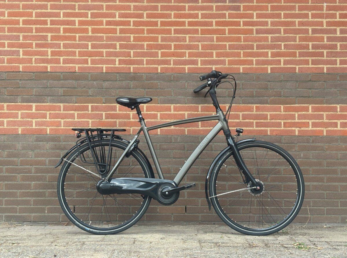 Gazelle Chamonix C8 Sienna
